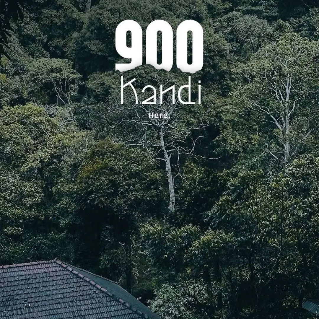 Skyfall 900Kandi Meppadi